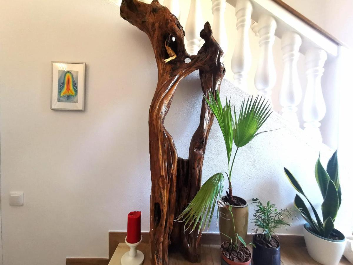 Lovely Room Silves Ngoại thất bức ảnh